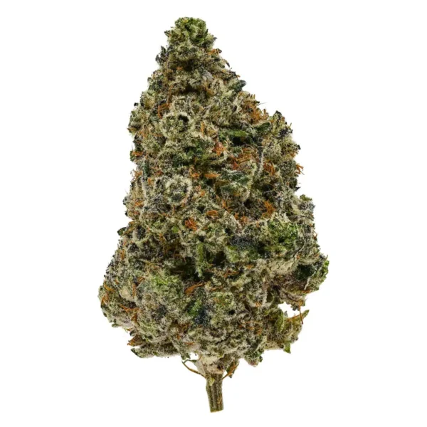Donkey Butter (AAA)