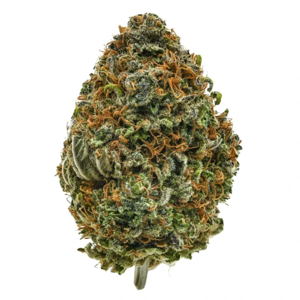 Lemon Sorbet (AAA)