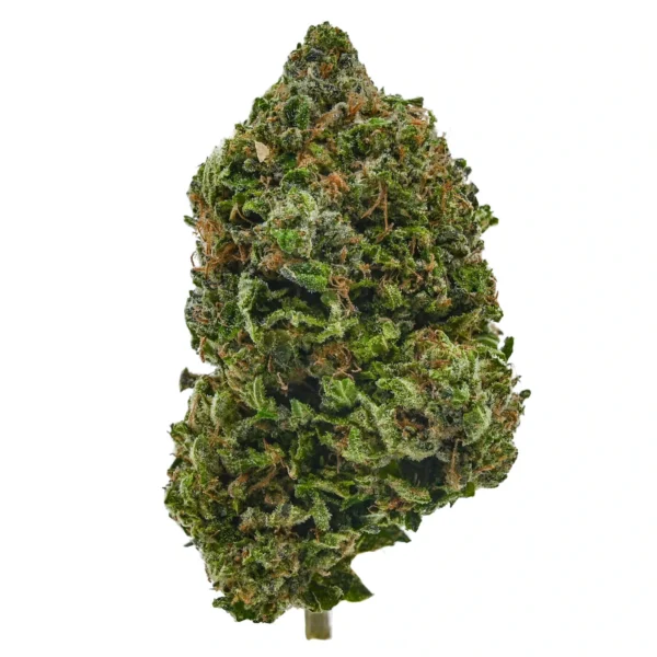 Master Kush (AAA)