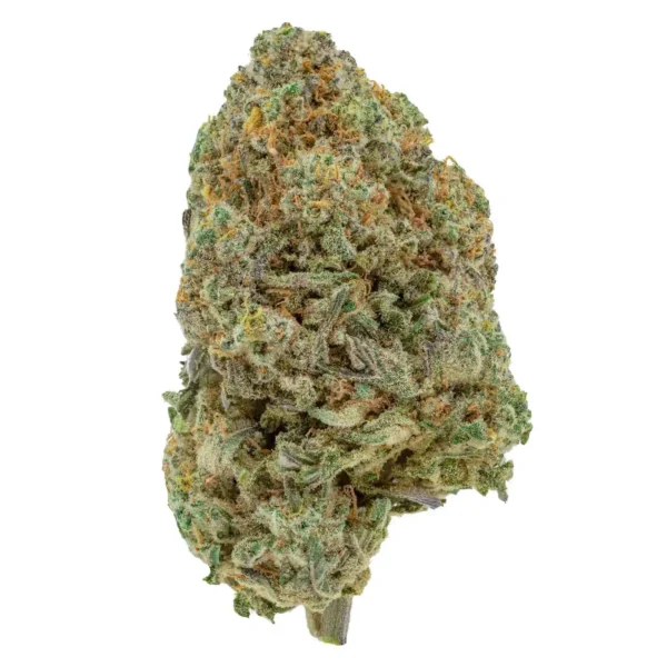 Lemon Meringue Pie (AAA+)