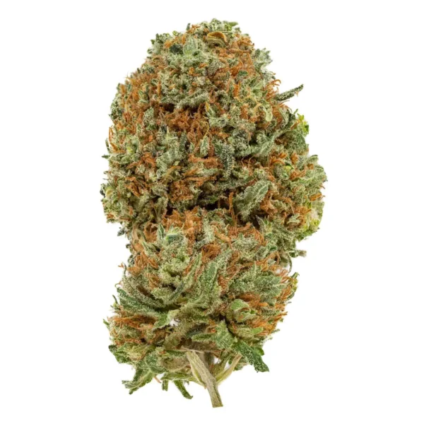 Wild Berry Kush (AAA-)