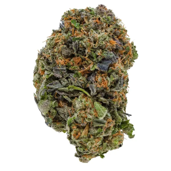 Purple Afghani (AAA-)