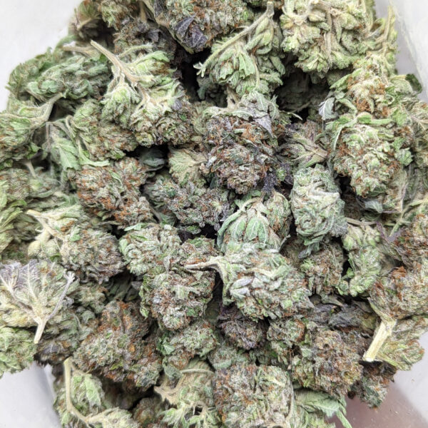 Pink Bubba *smalls* (AAA+)