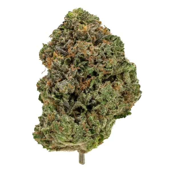 Gas Mask (AAA+)