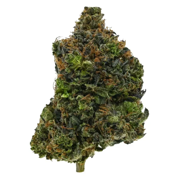 Hindu Bubba (AAA)