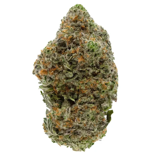 West Coast Diesel (AAA+)