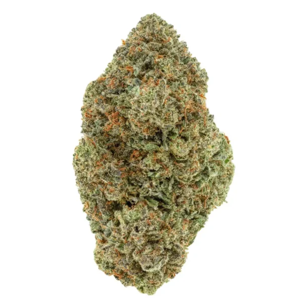 Master OG (AAA+)