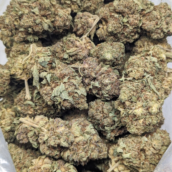 BC Kush (AA+)