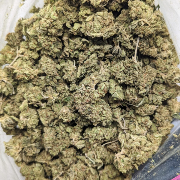 Critical Kush (AA+)