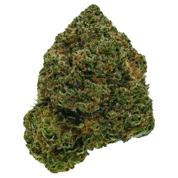 God’s Bubba (AAA)