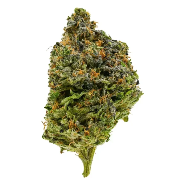 G13 Gas (AAA+)