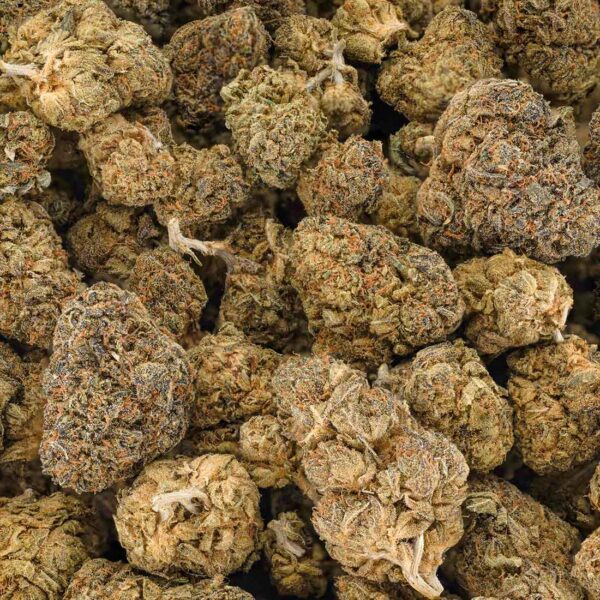 Lemon Runtz (AA+)