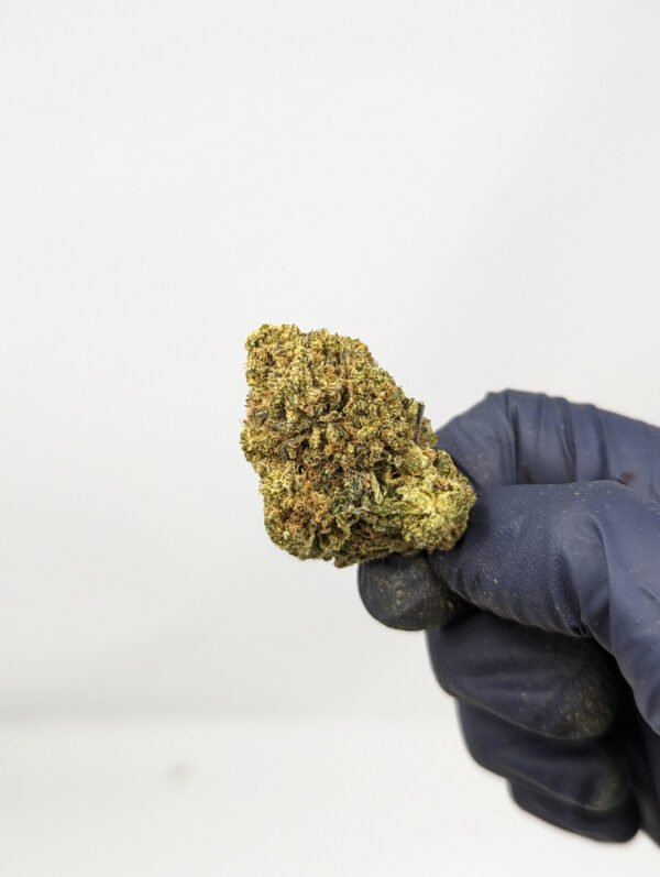 Larry OG (AAA-)