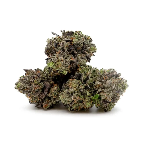 Northern Lights (AAAA+) *smalls/popcorn*