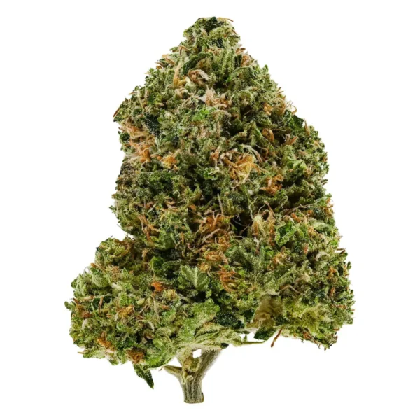 Rockstar Bubba (AAA)