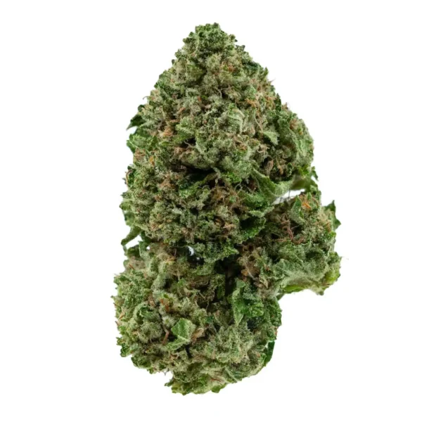 Pink Goo (AAA)