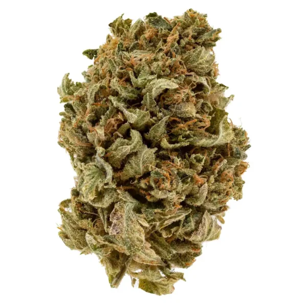Afghani Hash Plant (AA-)