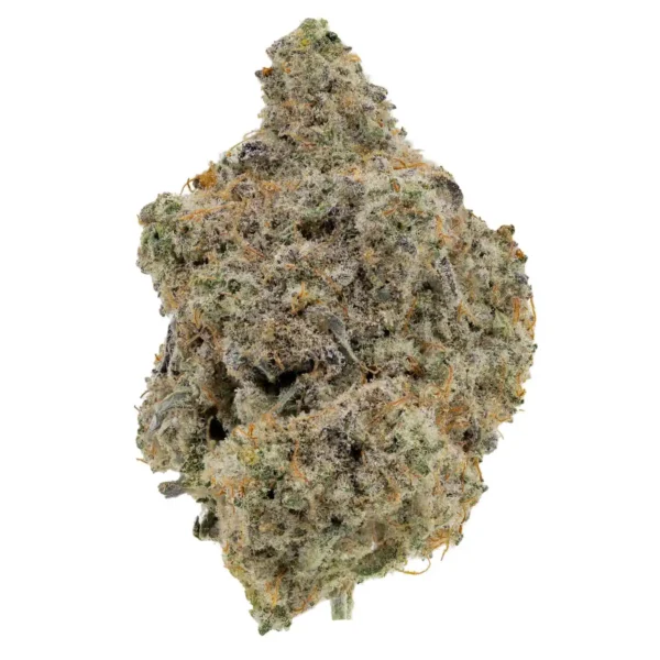 Alien Cookies (AAA)