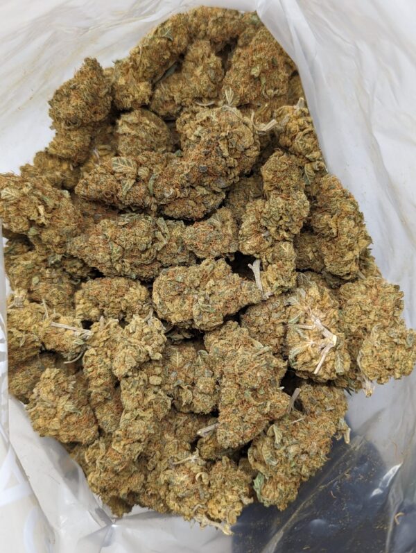 Apple Jack (AA+)