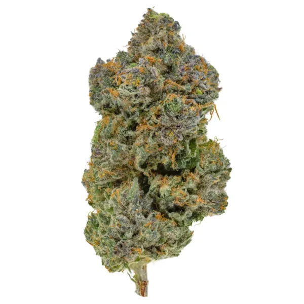 Astro Pink (AAAA+)