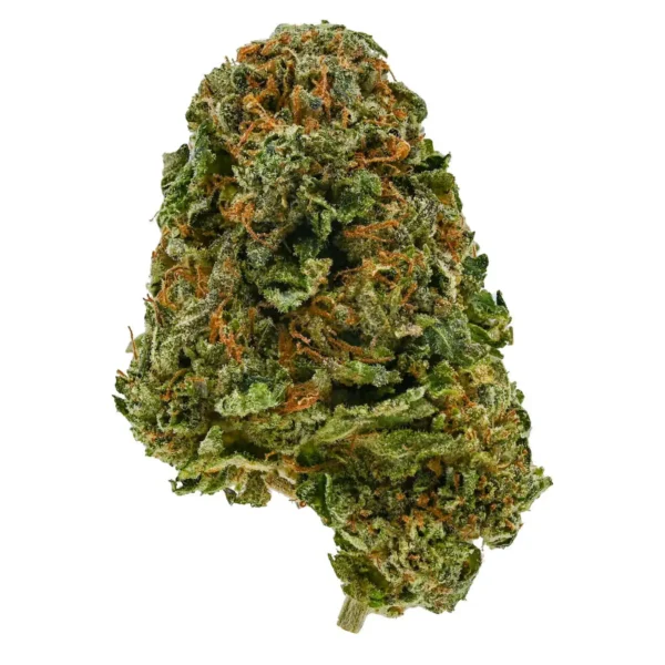 Black Tuna (AA)
