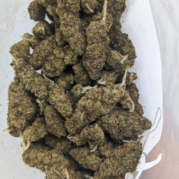 Black Diesel (AA+)
