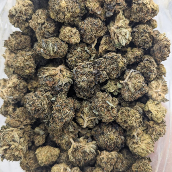 Black Tuna *smalls/popcorn* (AAA)