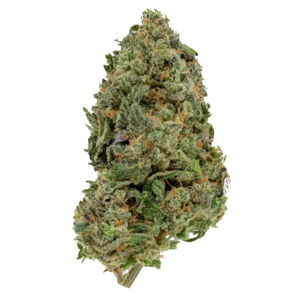 Blue God (AAA)