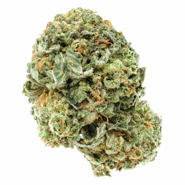 Blue Comatose (AAA)