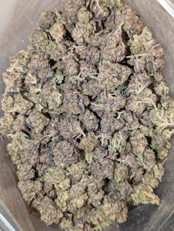 Bluefin Tuna Kush *popcorn/smalls*
