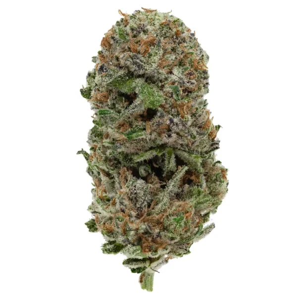 Blackberry Haze (AAA)