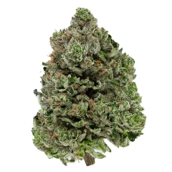 Bubba 91 (AAA)