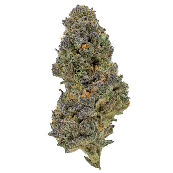 Cake City (AAAA+)