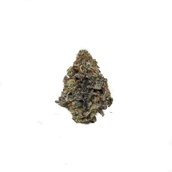 Cat’s Piss (AAA)