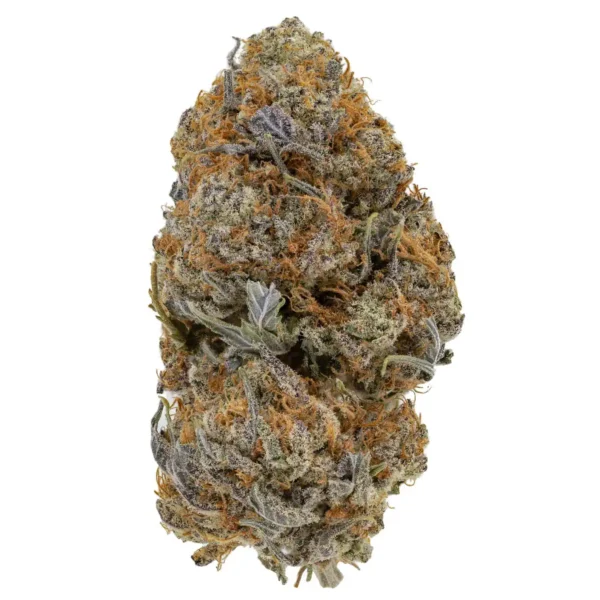 Champagne Kush (AAA-)