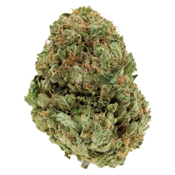 Coastal Pink (AAA+)