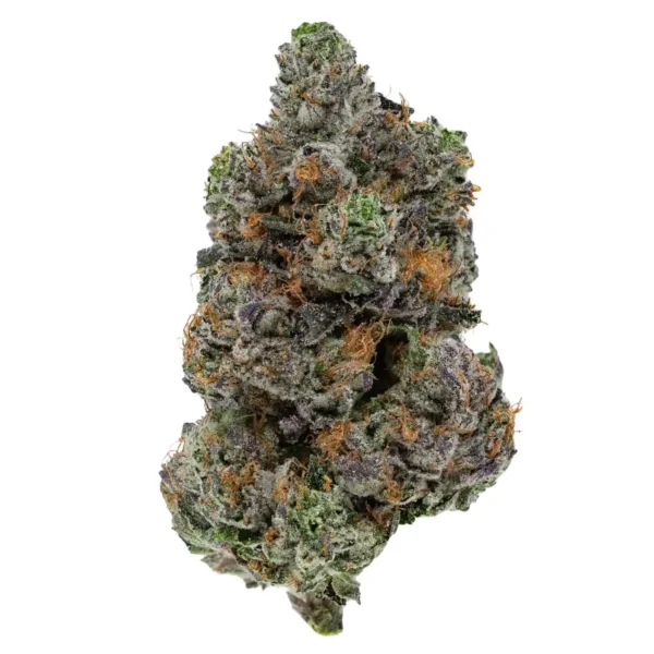 Glue 31 (AAAA)