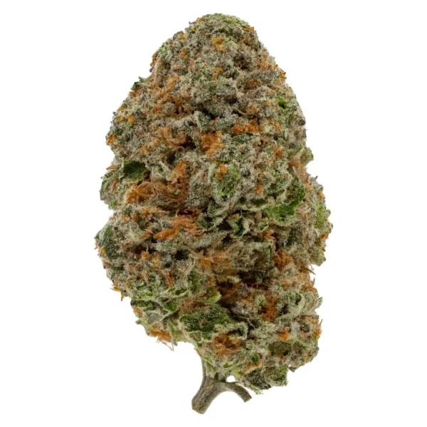 Frozen Gelato (AA+)