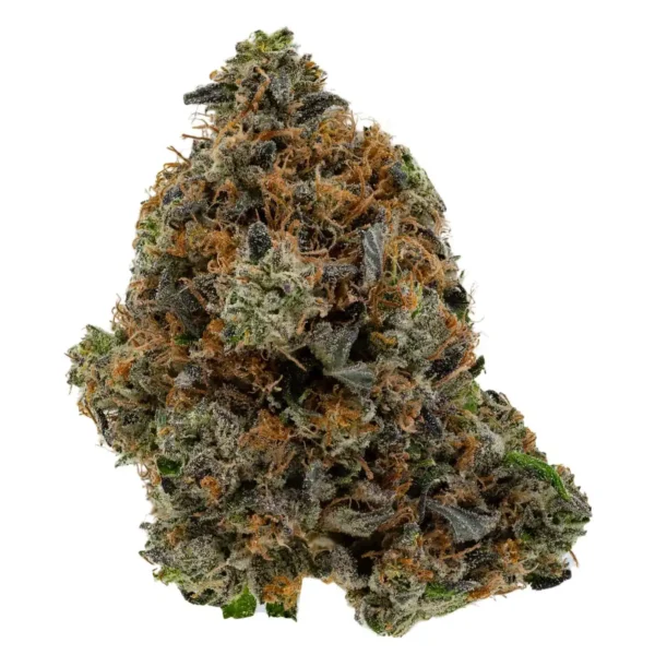Galactic Gas (AAA+)