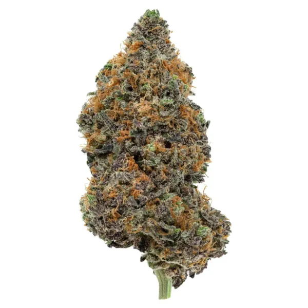 Gelato (AAA)