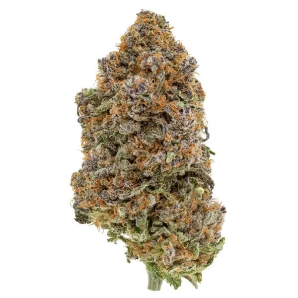 Gelato 45 (AAA)