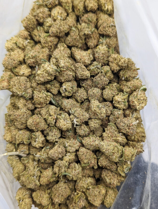 Gelato *smalls*