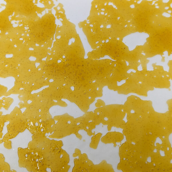 Gorilla Glue #4 Shatter (Indica)