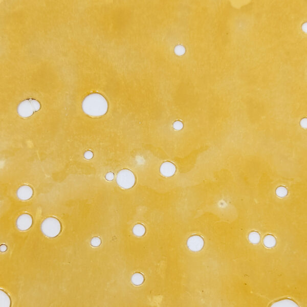 Girl Scout Cookies Shatter (Indica)