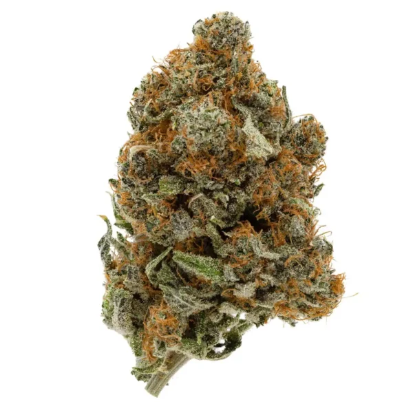 Acapulco Gold (AAA-)