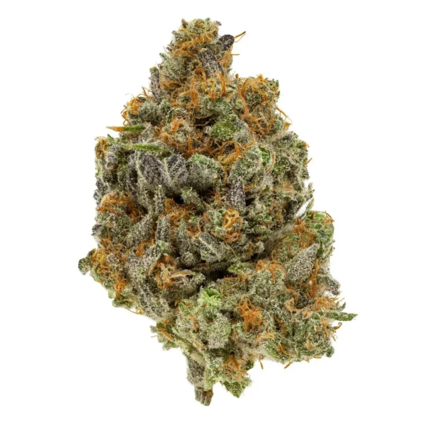 Golden Goat (AAA)
