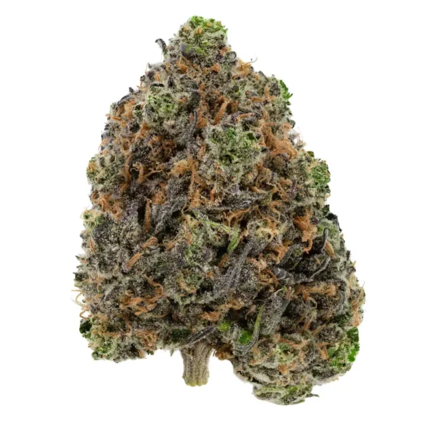 Grapefruit Mimosa (AAA+)