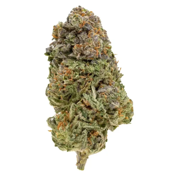 Grease Monkey (AAA)