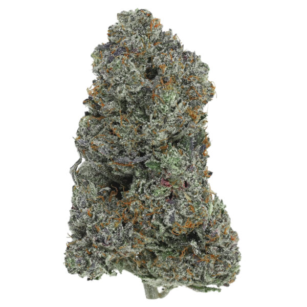 Gucci Pink (AAAA+)