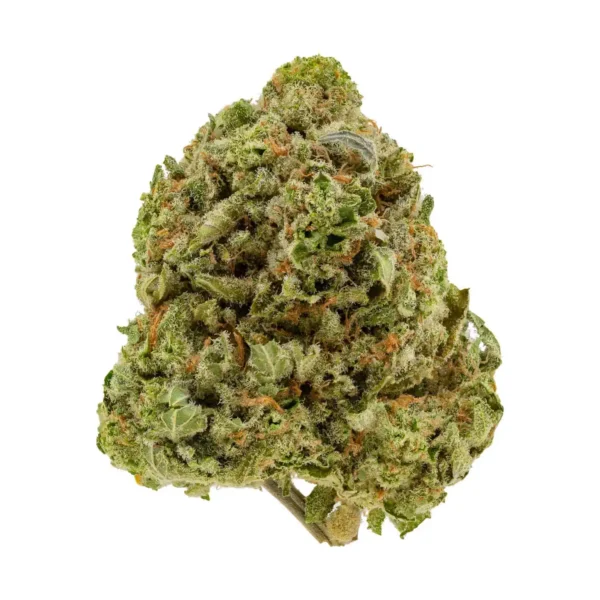 Nepalese Hashplant (AAA)